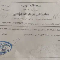 دوچرخه ۲۶ حرفه ای ویوا ۲۷ دنده، ترمز هیدرولیک|دوچرخه، اسکیت، اسکوتر|الیگودرز, |دیوار