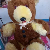 خرس کاملا نو