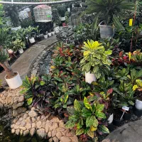 نیازمند همکار خانم جهت کار در گلستان یاس|استخدام خدمات فروشگاه و رستوران|قم, هفت تیر|دیوار