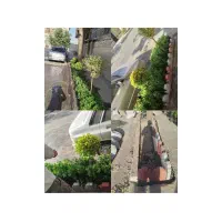 خدمات تخصصی باغبانی در محل شما|خدمات باغبانی و درختکاری|تهران, فلسطین (میدان انقلاب)|دیوار