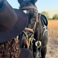 عکاسی با اسب