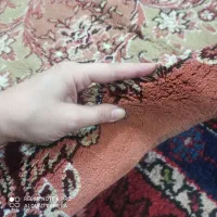 فرش ماشینی مرینوس|فرش|تبریز, |دیوار