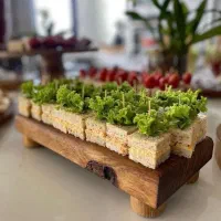 فینگرفود و فست فود میهمانی