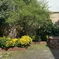 اجاره ویلایی تریبلکس ۱۶۰ متری ۳ خواب/بلوار گیلان|اجارهٔ خانه و ویلا|رشت, پستک|دیوار