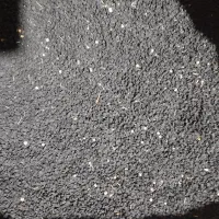 بذرپیاز‌قرمز