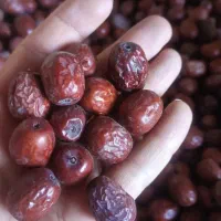 عناب|خوردنی و آشامیدنی|مشهد, توس (بلوار توس)|دیوار