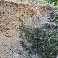 باغ۳۵۰متر جاده چالوس کیلومتر۳۵|فروش زمین و ملک کلنگی|آسارا, |دیوار