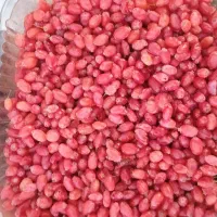 زرشک تازه دونه شده قاین حراج نیم کیلو 150|خوردنی و آشامیدنی|قم, شاه سید علی|دیوار