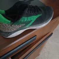 کتونی برند پاما