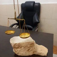 وکیل حرفه ای با رزومه قوی