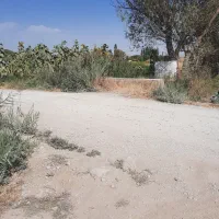 زمین زراعی مناسب برای گلخانه و دامداری|فروش دفتر صنعتی، کشاورزی، تجاری|ارومیه, |دیوار