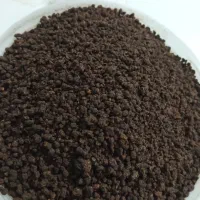 چای کله مورچه ای