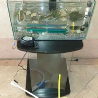 آکواریوم فروشی