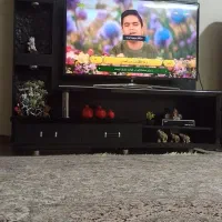 موکت و میز