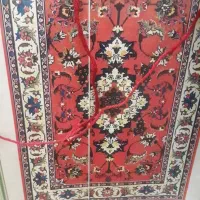دارقالی|فرش|اردبیل, |دیوار