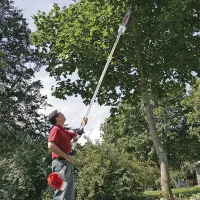 اره درخت گرازی(اقساط ابزارملت کرمان)هرس درخت خرما|ابزارآلات|کرمان, |دیوار