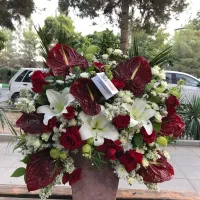 تزیین کار حرفه ایی گل ارایی|گل و گیاه طبیعی|مشهد, نوید|دیوار