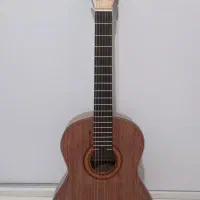 گیتار به همراه کاور. دست نخورده نو نو