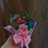 همراه شادی لحظه ها|گل و گیاه طبیعی|کوچصفهان, |دیوار