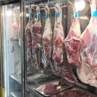 یخچال قصابی 2متری|فروشگاه و مغازه|مشهد, توس (بلوار توس)|دیوار