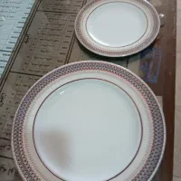 ظروف پذیرای