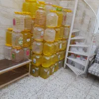 پت های ۱۰کیلویی