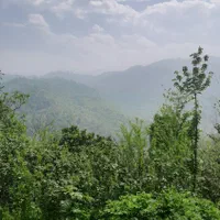 فروش زمین ۶۰۰متری با جواز ساخت+جنگلی+اطاقور|فروش زمین و ملک کلنگی|اطاقور, |دیوار