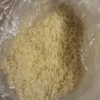 برنج شمال کشت اول وکشت دوم