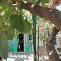 واحد همکف راه جدا حیاط دار با پارکینگ فلکه پنجم|اجارهٔ آپارتمان|فردیس, فردیس|دیوار