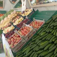 پالت میوه فروشی|فروشگاه و مغازه|اندیشه, اندیشه فاز ۵|دیوار