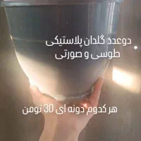 گلدان|صنایع دستی و سایر لوازم تزئینی|اهواز, آسیاباد|دیوار