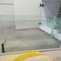 اکواریوم|ماهی|ایلام, |دیوار