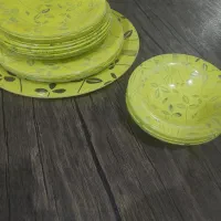 ظروف خانه نو