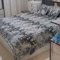 تخت خواب به همراه دو کمد آینه دار و یک پاف