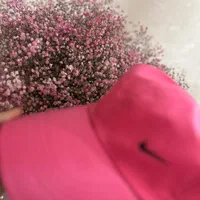 کلاه ارزان|لباس|اصفهان, مصلی|دیوار