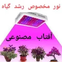 نور لامپ چراغ پرژکتور مخصوص رشد گل و گیاه در شیراز