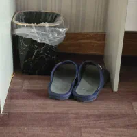 نیازمند نیرو جهت نظافت منزل و ساختمان