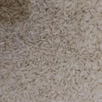 برنج عنبربو شوشتراعلاء|خوردنی و آشامیدنی|اصفهان, احمدآباد|دیوار