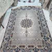 هالیدی دلفینی  ۷۰۰ شانه