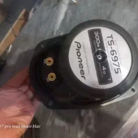 فوری فروش یک جفت باند خربزه ای 6975 اصلی