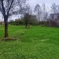 معاوضه با خودرو یافروش زمین مسکونی