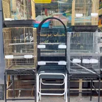 قفس دان اسباب بازی لوازم پرندگان پت شاپ طوطی مارکت|لوازم جانبی حیوانات|قم, زنبیل آباد|دیوار