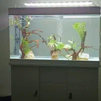 آکواریوم k1000 دلسا