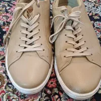 کفش اداری برشکا