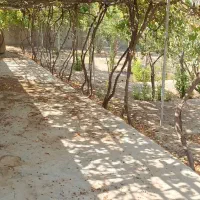 خونه باغ فروشی|فروش خانه و ویلا|زید آباد, |دیوار