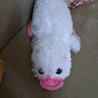 عروسک|اسباب‌‌بازی|بیرجند, |دیوار