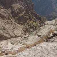 طبیعت گردی