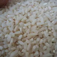 برنج طارم هاشمی گیلان اصل مستقیم از کشاورز|خوردنی و آشامیدنی|ورامین, ورامین|دیوار