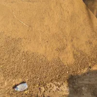 کودحیوانی خشک گوسفندی خالص عالی در محل بدونه کرایه|خدمات باغبانی و درختکاری|کرج, کمالشهر|دیوار