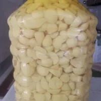 دبه های ده کیلویی ترشی موسیر